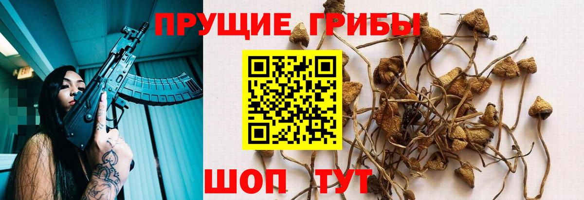 Галлюциногенные грибы мицелий Кумертау